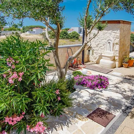 Casa Marina Lejlighed *
