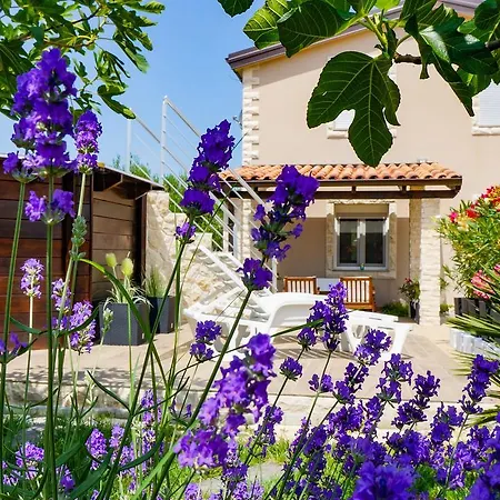 Lejlighed Casa Marina Vrsi